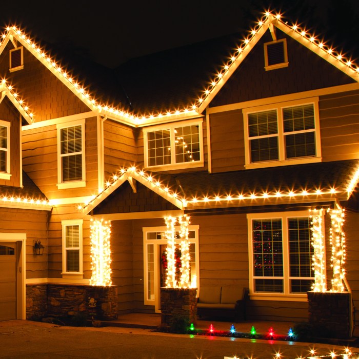 Light up christmas decor outdoor