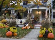 Outdoor Decor Ideas for Halloween